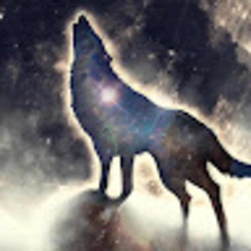 Meet your Posher, Madeline